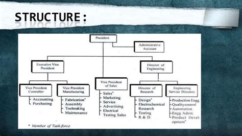 functional and matrix organization