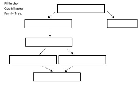 Quadrilateral Family Tree Diagram | Quizlet