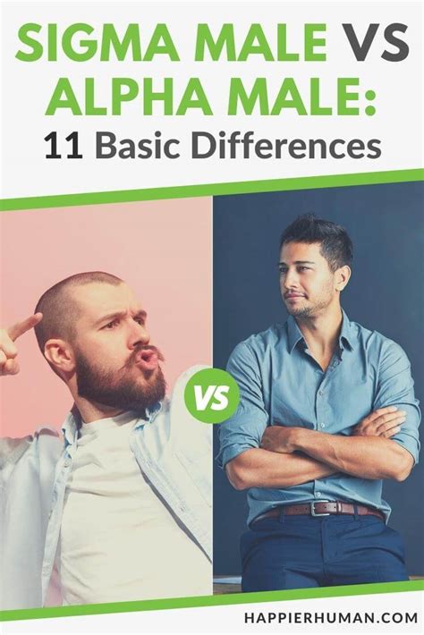 Sigma Male VS Alpha Male: 11 Basic Differences - Happier Human