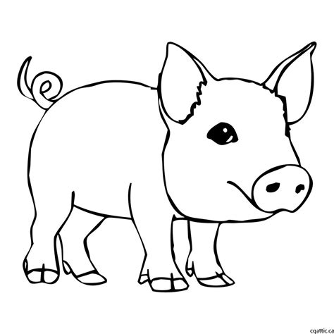 Pig Drawing Images - Drawing Skill