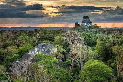 Visiting Tikal Guatemala: 37 Best Things To Know