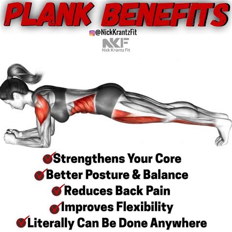 The Truth About Planks - Why You Should Be Doing Them - GymGuider.com ...