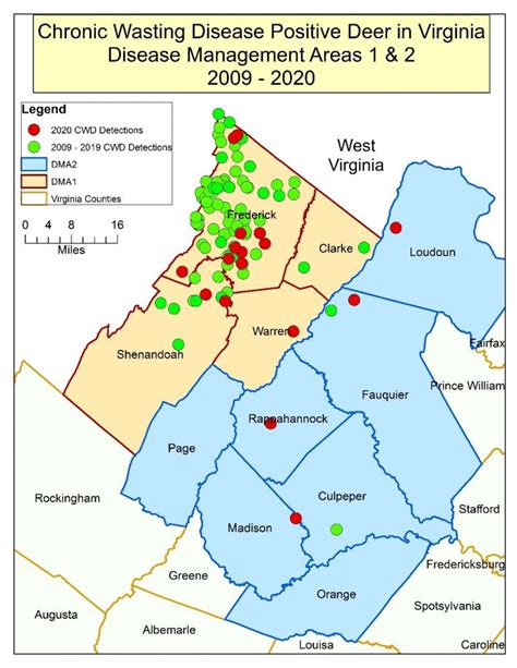 Tracking Chronic Wasting Disease in Virginia | Virginia DWR