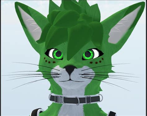 Furry Vrchat Avatar Retextures - Etsy