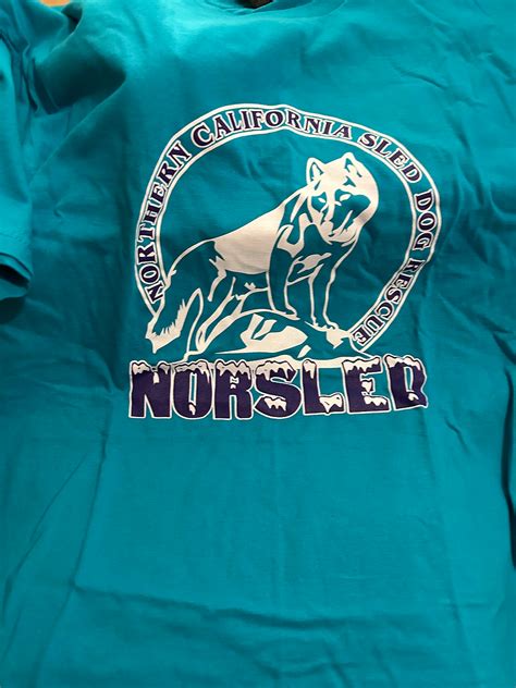 Logo T-Shirts - Turquoise | Norsled