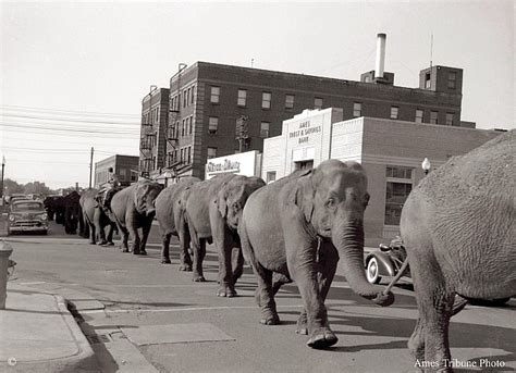 Circus Parade | Ames History Museum