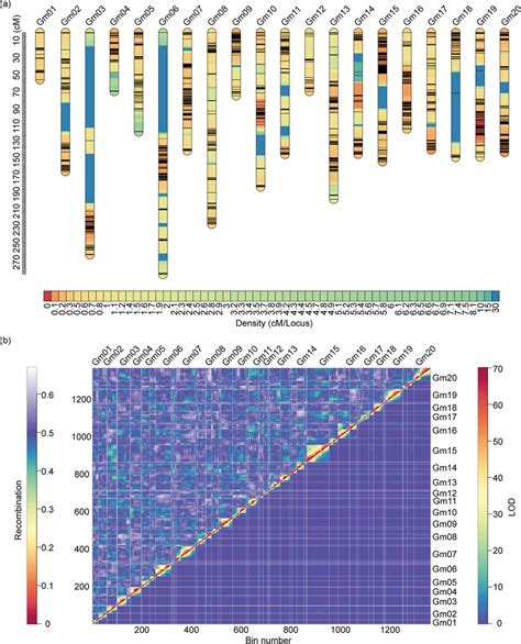 Genetic map construction and pairwise marker linkage analysis. a... | Download Scientific Diagram