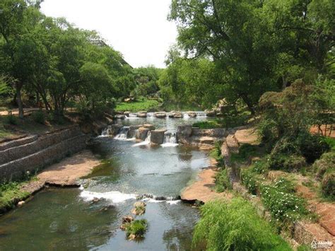 Day-trip to the Pretoria Zoo — AAAKEE - Abused and Abandoned Kids Educational Excursions NPC