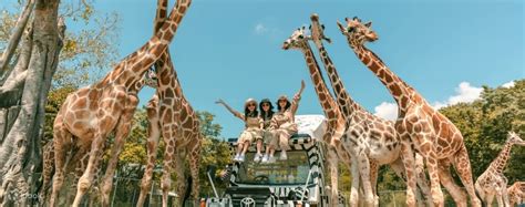 Kanchanaburi Safari Park Day Tour from Bangkok by AK Travel - Klook New Zealand