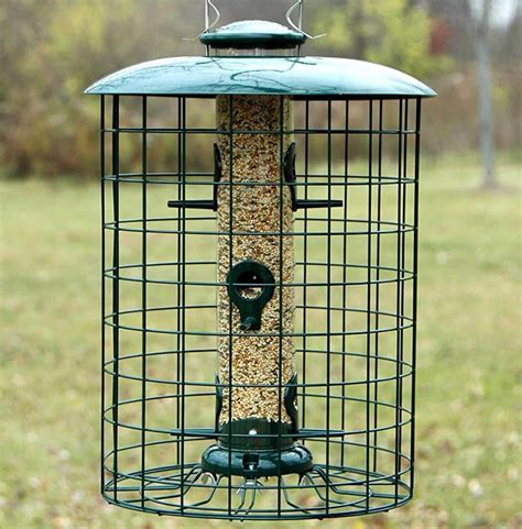 7 Best Bird Feeders For SMALL Birds In MY Backyard (2020) - Bird ...