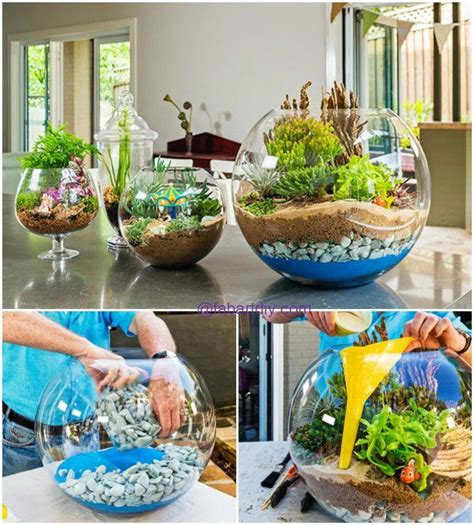 DIY Colorful Sand Terrarium Tutorials … | Fairy terrarium, Fairy garden plants, Garden terrarium