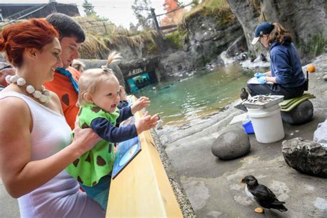 Zoo Boo | Seattle Area Family Fun Calendar | ParentMap