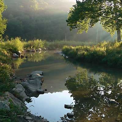 Nine Mile Run Watershed | Steel Valley Trail Council