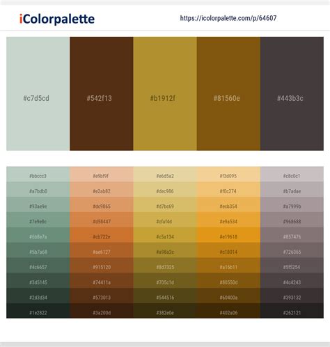 1 Latest Color Schemes with Conch And Alpine Color tone combinations | 2023 | iColorpalette