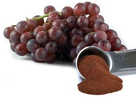 Grape skin extract may soon be answer to treating diabetes: A Wayne ...