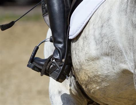 Whip Use in Equestrian Sports | Horse Journals