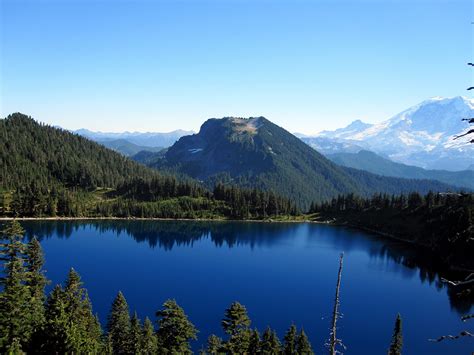 Crown of the Continent: An Ecosystem in Peril, Thanks to Humans - American Forests