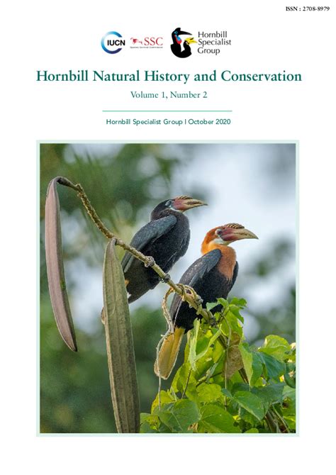 (PDF) Characteristics of Narcondam Hornbill Rhyticeros narcondami nest ...