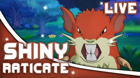 Pokémon ORAS - LIVE SHINY RATICATE After 84 DexNav Encounters (Twitch ...