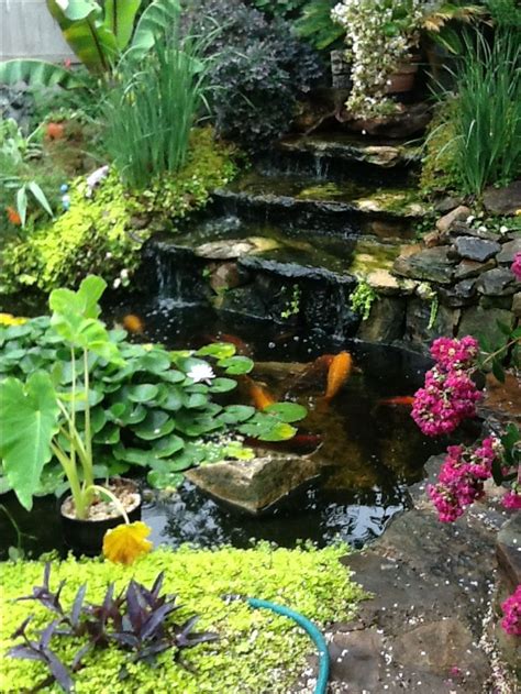 17 Best images about Goldfish Ponds on Pinterest | Growing plants, Backyard ponds and Pond ideas