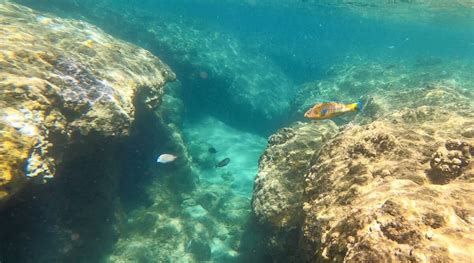 Don’t Miss the 5 Best Snorkeling Spots on Kauai (with maps, directions ...