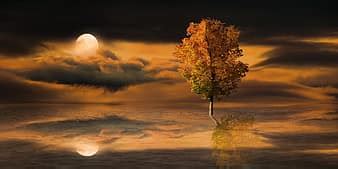 nature, sky, moon, full moon, clouds, night, mood mystical, banner ...