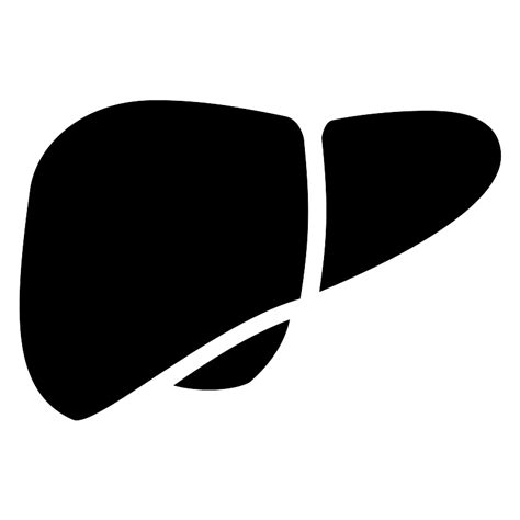 Liver Vector SVG Icon - SVG Repo