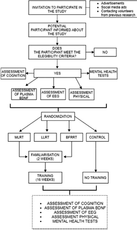 -Diagram of study design. | Download Scientific Diagram