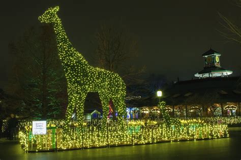 St Louis Zoo Lights Schedule | semashow.com