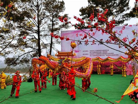 Peach blossom festival held in China's Guangxi to celebrate coming of spring - Xinhua | English ...