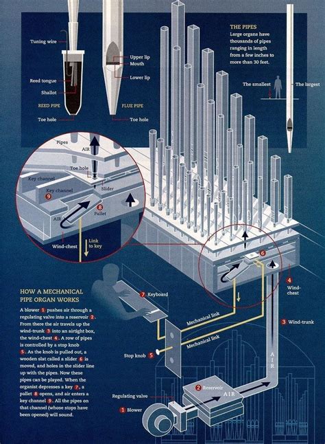 How a Pipe Organ Works | Classical MPR