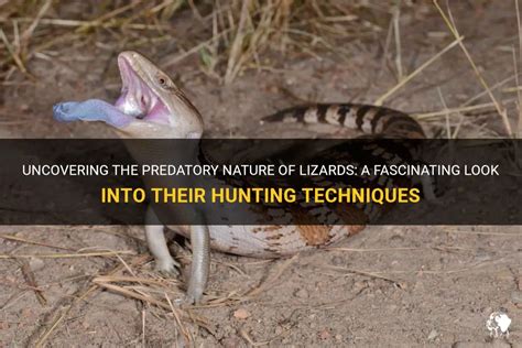 Uncovering The Predatory Nature Of Lizards: A Fascinating Look Into Their Hunting Techniques ...