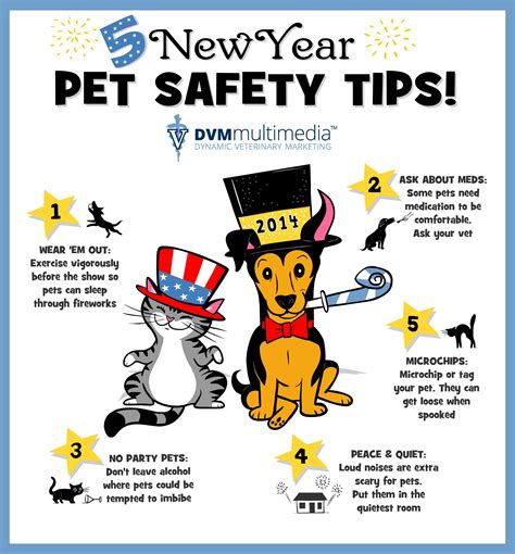 New Year's Pet Safety | Уход за питомцами, Питомец, Дрессировка щенка