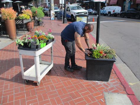 Flowers planted in downtown San Diego! – Cool San Diego Sights!