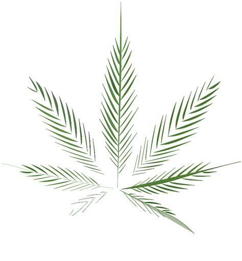 File:Cannabis leaf 2.svg - Wikimedia Commons