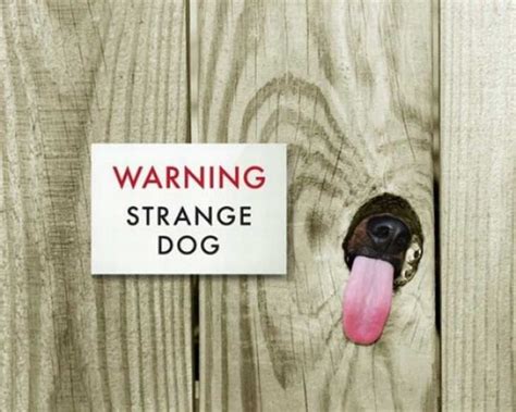 Hilarious beware dog signs