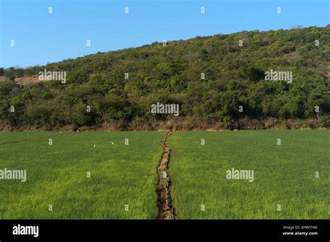 Amboli village scenic Maharashtra India Stock Photo - Alamy