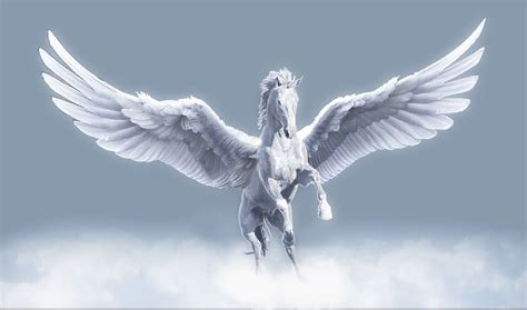 ArtStation - Tristar Pegasus , Alfonso de la Torre | Pegasus art, Pegasus, Unicorn pictures