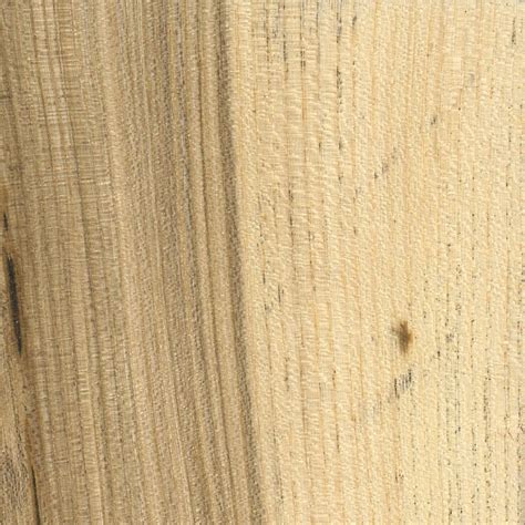 Elm Wood: Hard and Soft | The Wood Database