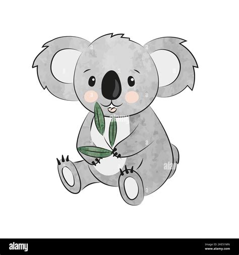 Baby Koala Eating