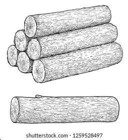 Tree Log Drawing