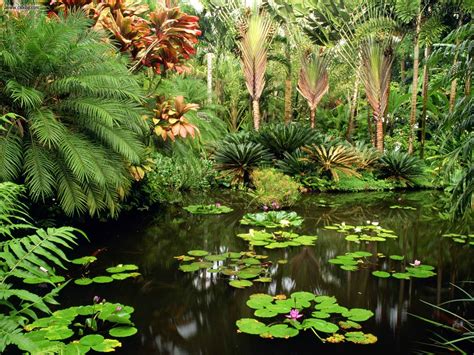 Hawaii Tropical Botanical Gardens | Only In Hawaii