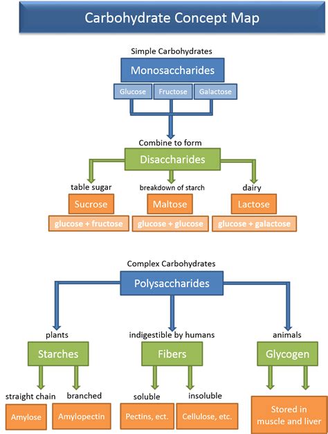 What Is A Concept Map Of Biomolecules / Biomolecule Concept Map Concept Map Student Created ...