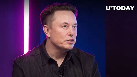 Elon Musk's Cryptic Tweet Raises SHIB, XRP, DOGE Armies' Enthusiasm