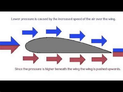 Bernoulli's Principle For Kids