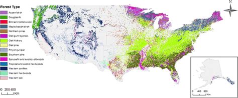 Forest types across the 48 contiguous U.S. states and Alaska, derived ...