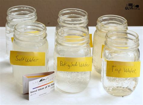 Water pH Science Experiment: Simple Science for Kids