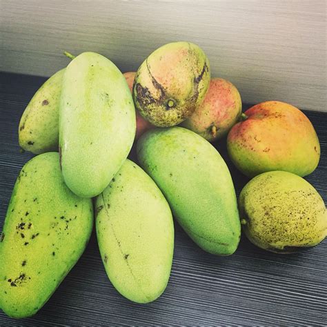 Mangoes | Mangoes, Fruit, Mango