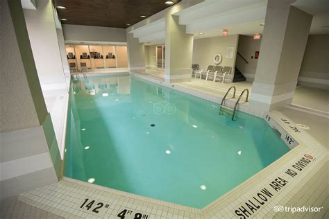 Doubletree By Hilton Hotel Toronto Downtown Pool: Pictures & Reviews ...