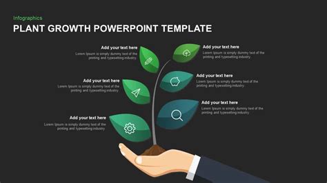 Plant Growth Template for PowerPoint and Keynote - Slidebazaar.com